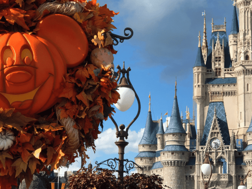 fall at disney world orlando
