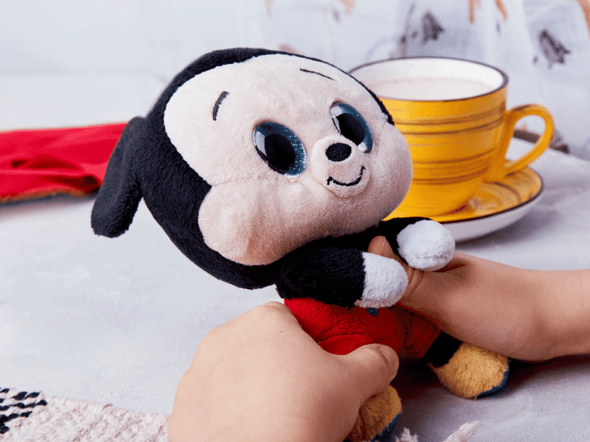 mickey mouse souvenir