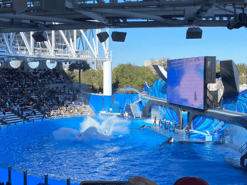 Orlando Seaworld