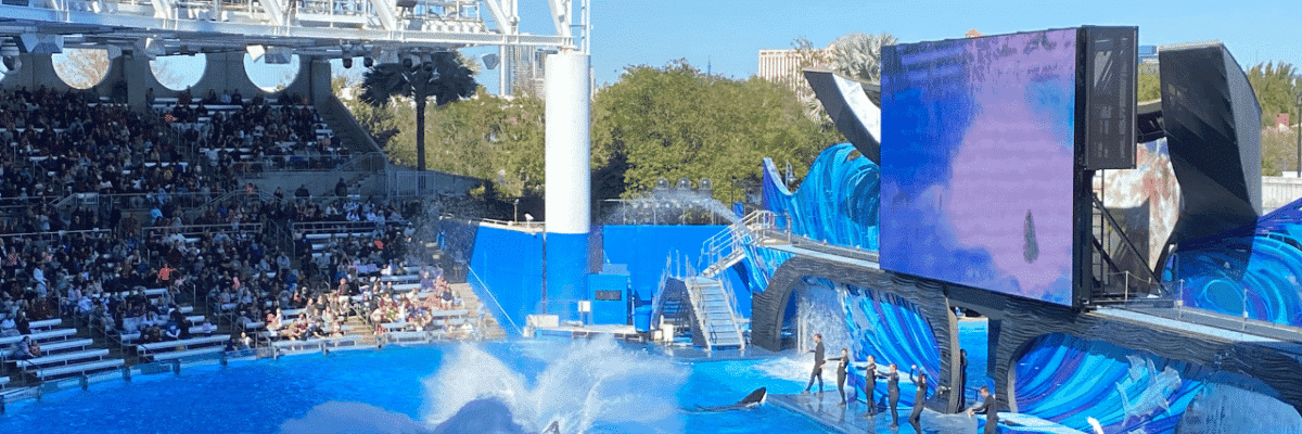Ultimate Guide To SeaWorld Orlando: Best Rides & Attractions