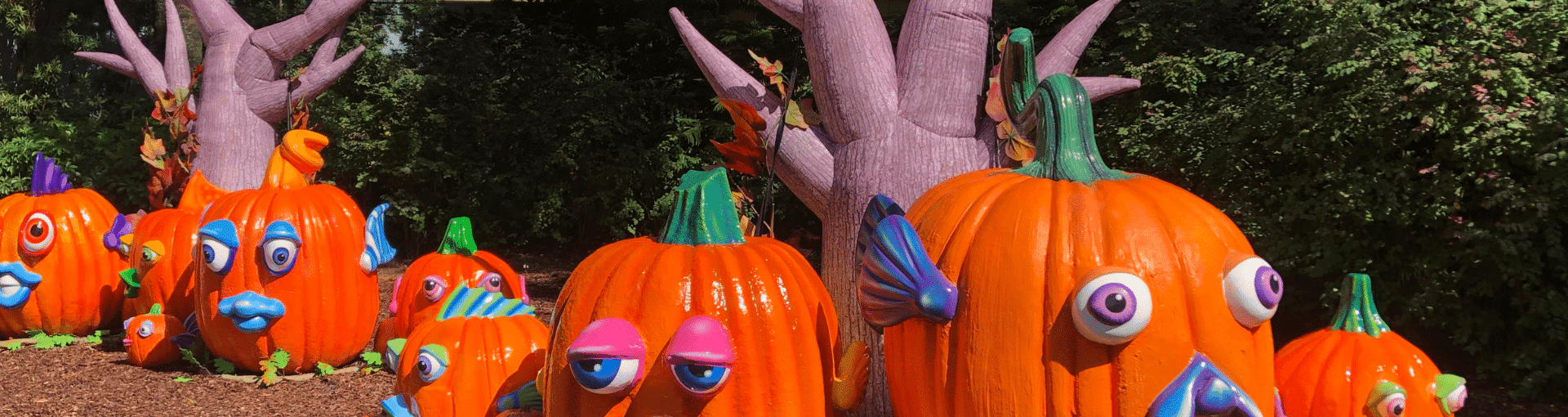 Guide To Must-Visit Orlando Events In September 2024